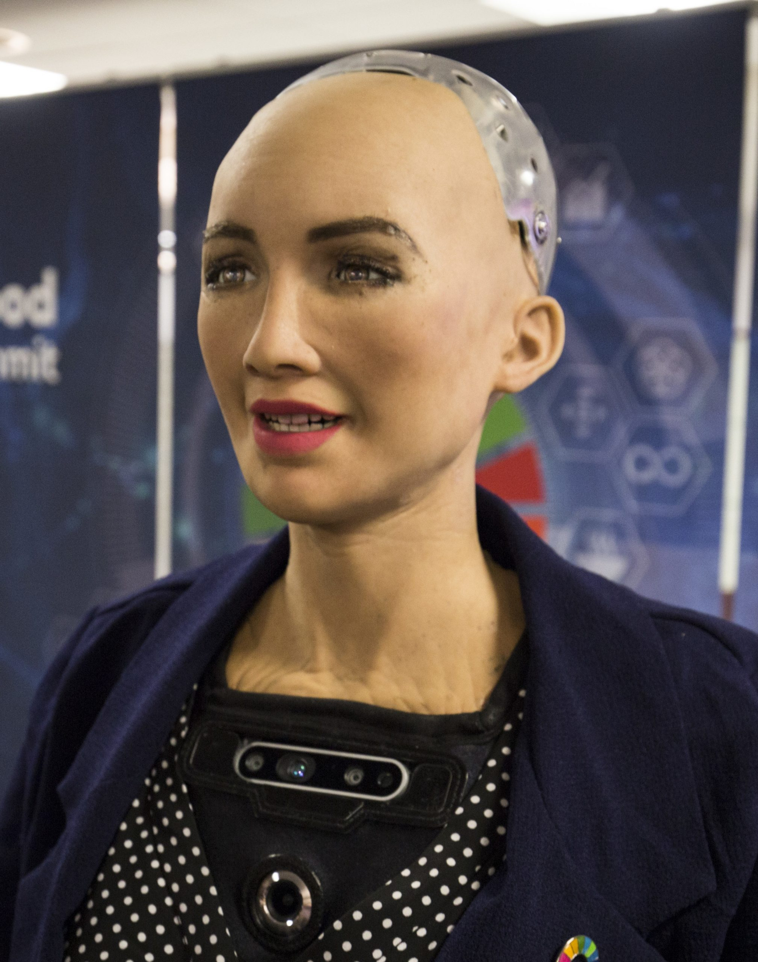 When Humans Connect With Post-Humans: On Artificial Emotional ...